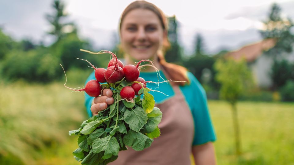 ����� ����� ��� ������ �� ����� �� �������: ������� ������ ��� ��� �������� ������