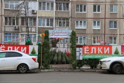 В Туле открылись елочные базары