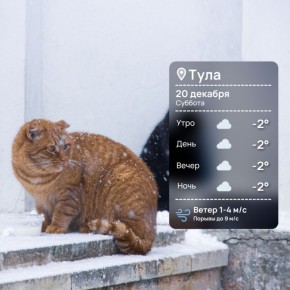 ������ ����. ��������� �������, ��� ��� �������� ����� ��������� ���������� ��������� ������� ����� �������