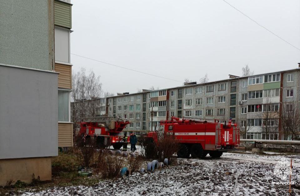 В Тульской области за прошедшие сутки 19 декабря В Тульской области за прошедшие сутки 19 декабря