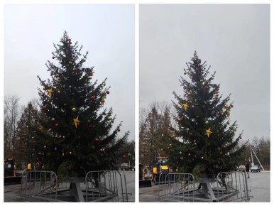 В «унылом» лесу прибыло: туляки нашли еще одну кривую елку