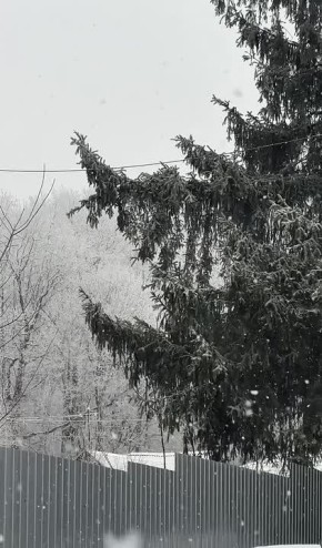 ��������� ������ ������ ������ ������� � �������� �������! ���� �������� ������� ������� ���������� ��������� ���������