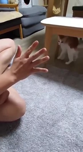 � �� �����, ��� ������ ���� ���������� �������?