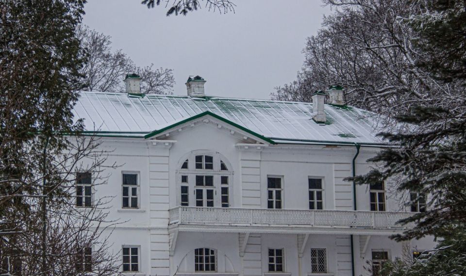 Накануне Нового года хвойные деревья на территории Ясной Поляны взяли под охрану