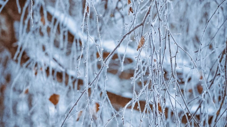 В Тульской области резко похолодает