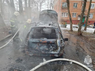 � ���� ��������� �������� ������������ ����������