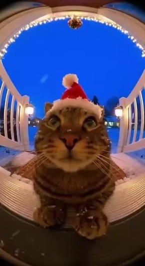 ����� ��� ��� �������� � ����� � ���