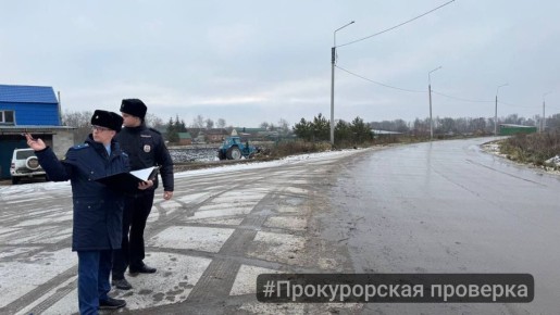 Прокуратура города Новомосковска провела проверку по обращению жительницы д. Избищи Новомосковского района о нарушении законодательства о безопасности дорожного движения, поступившему руководителю надзорного ведомства в...