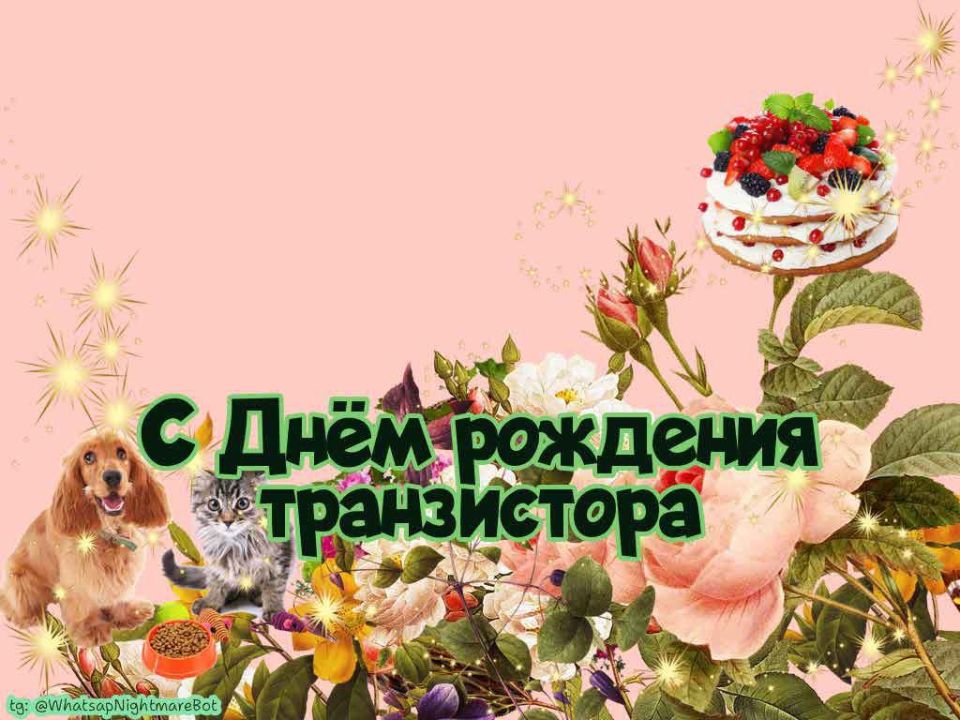 #КорочеПраздники на 23 декабря