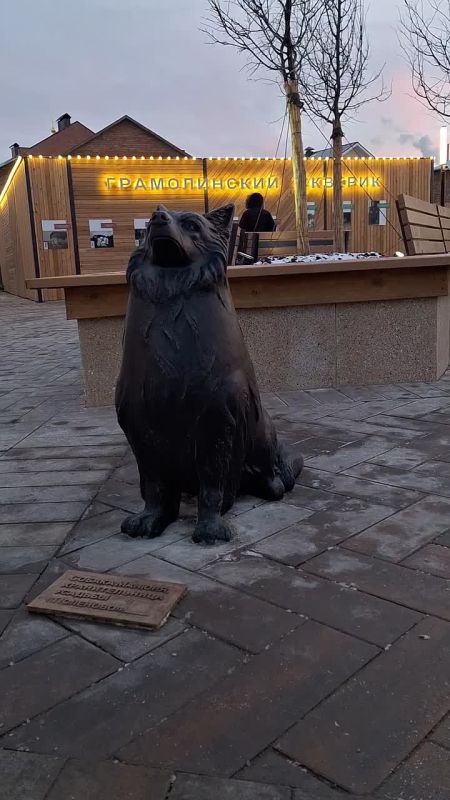 �� ����� ����������� �������� ����� �������� ���-������