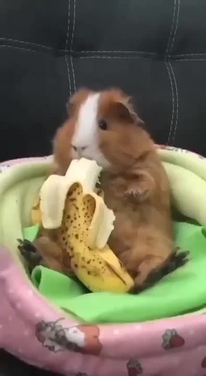 �������� ���� � ��������� ��������