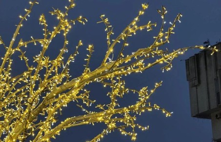 ������� ��������, ������� ������ �������� ����� ����� �����