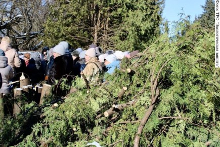 � �������� ������� �� �������� ������ �������� ���, ������� �� ����� ���� ������