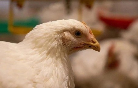 � �������� ������� ������������ ���� ����� ������� �� 12%