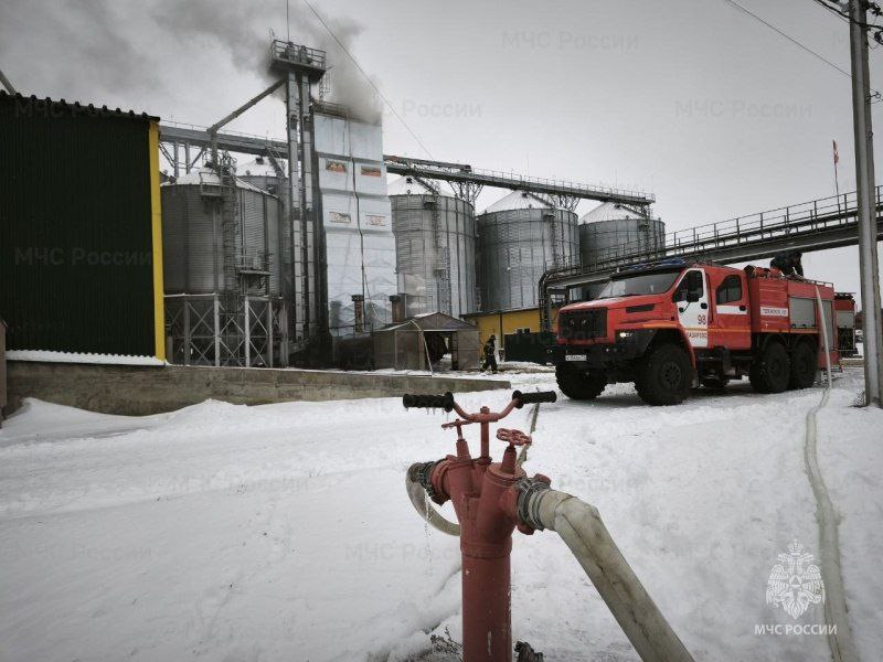 В Тульской области за прошедшие сутки 28 декабря В Тульской области за прошедшие сутки 28 декабря