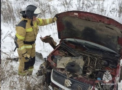 � �������� ������� �� ��������� ����� 29 �������