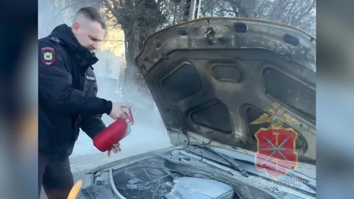 � ���� ���������� ������� ���������� �������� ������������ �� ������ ����������