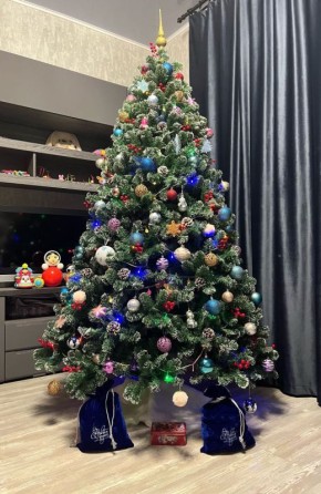 А вот и они, новогодние красавицы от наших подписчиков!