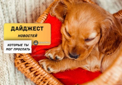 ������������ � ��������, ������� �� ����� ���������� �����