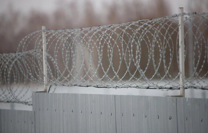 За 2025 год в Тульской области на свободу вышли более 3,4 тысяч осуждённых