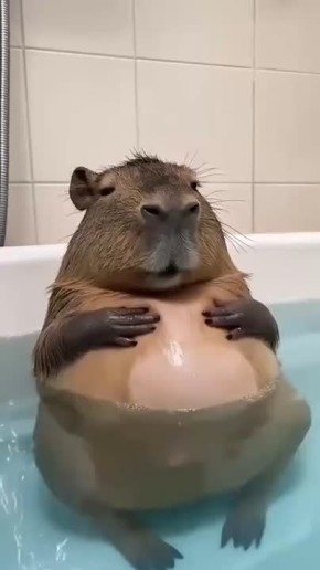 �������� ��������� �������� ����� ����������