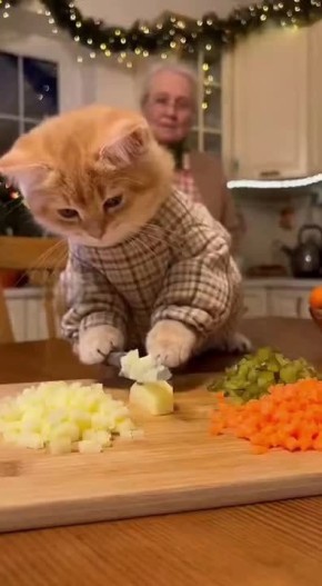 ��� �� � ������ ���� ��� ����� ��������!