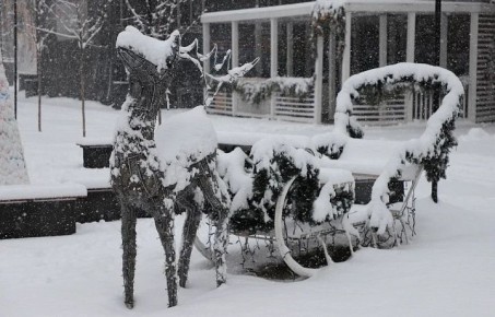 ������ �� 31 �������. ����� ��������: 08:49