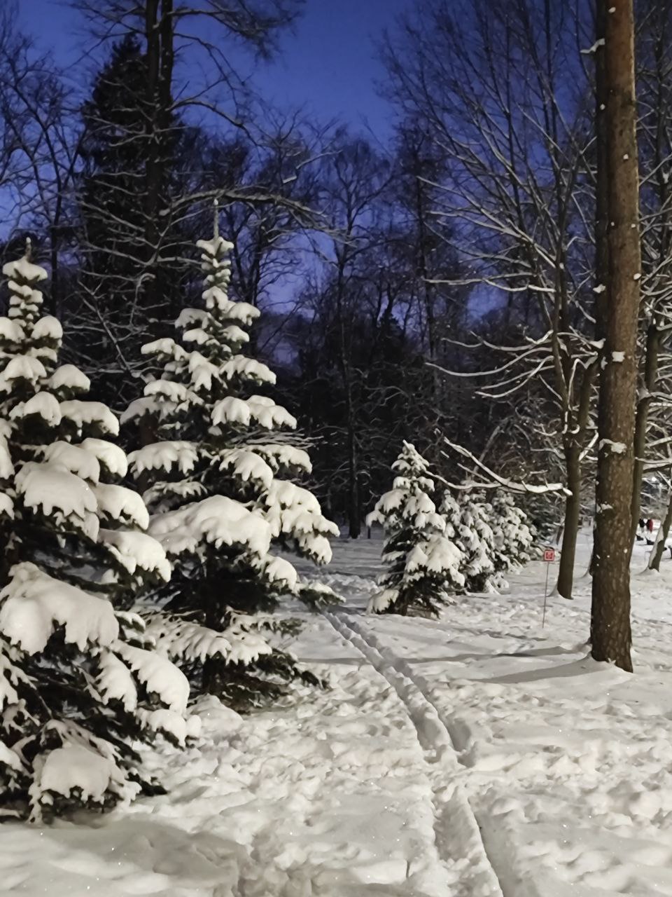 Снег, местами сильный, усиление ветра южной четверти порывами 11-16 м/с, на дорогах снежные заносы, гололедица на территории Тульской области в ближайшие 1-3 часа
