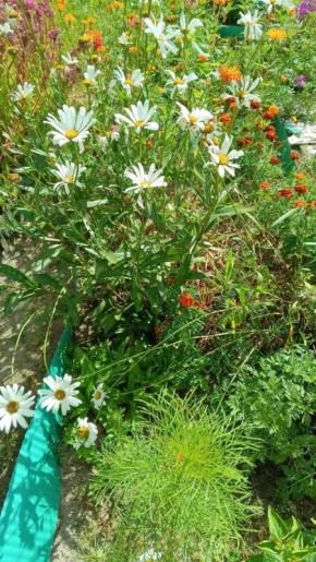 Разочарование в лечении пяточной шпоры: личный опыт и советы