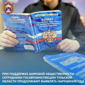 Сотрудники Госавтоинспекции по Щекинскому району Тульской области привлекли водителей к ответственности по публикациям в сети "Интернет"