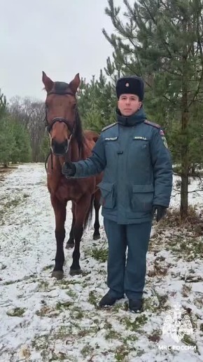 #СоветМЧС. В год лошади будь «на коне» - соблюдай правила пожарной безопасности! МЧС России напоминает: