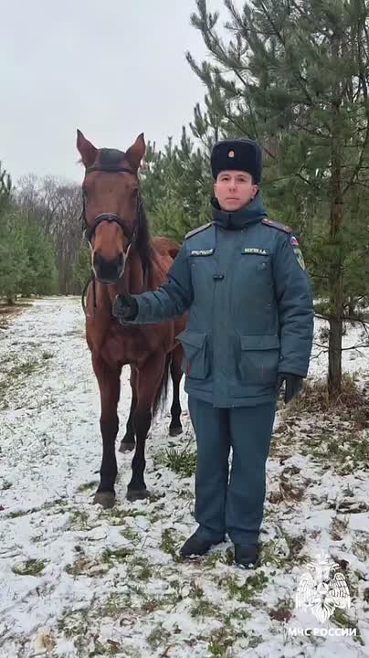#СоветМЧС. В год лошади будь «на коне» - соблюдай правила пожарной безопасности! МЧС России напоминает: