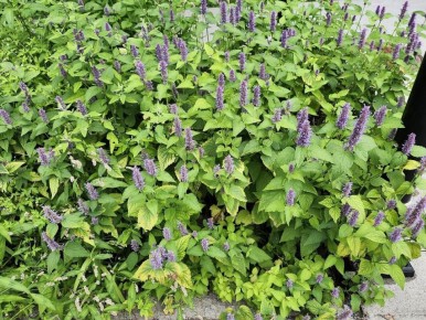 ������: ������������� ����� � �������� � �������, � ������� ����� �����