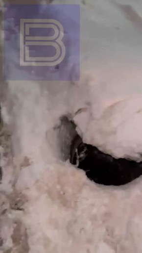 #����������_��������. �������� ��� ����� ����� �� ������ �� ����� ���������