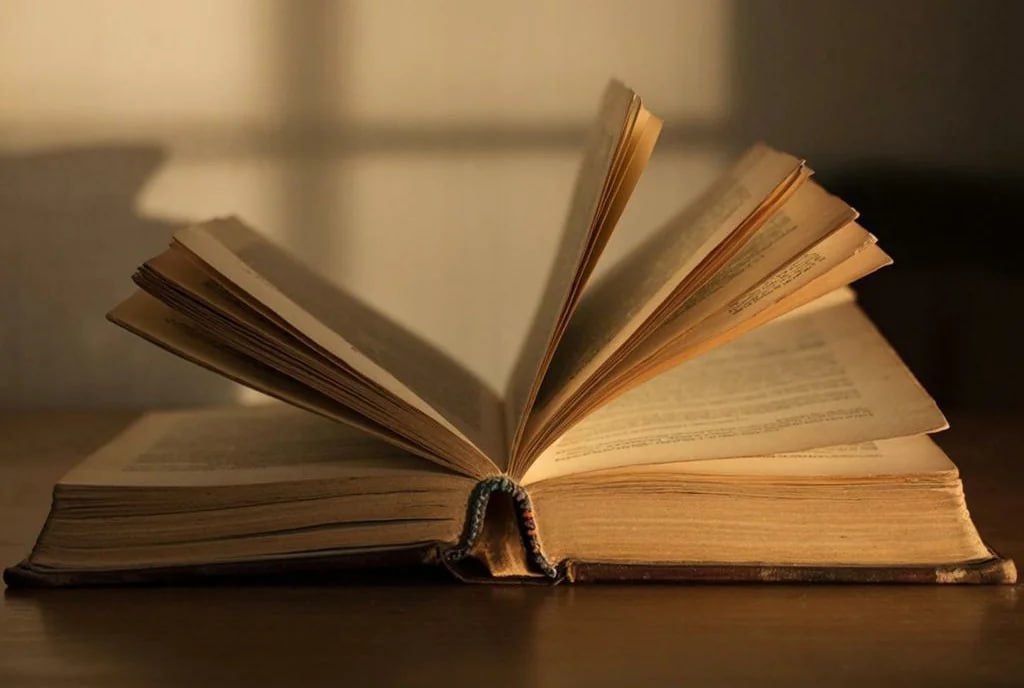 «Бесплатные книги» — только в мышеловке: туляков предупредили о новой мошеннической схеме