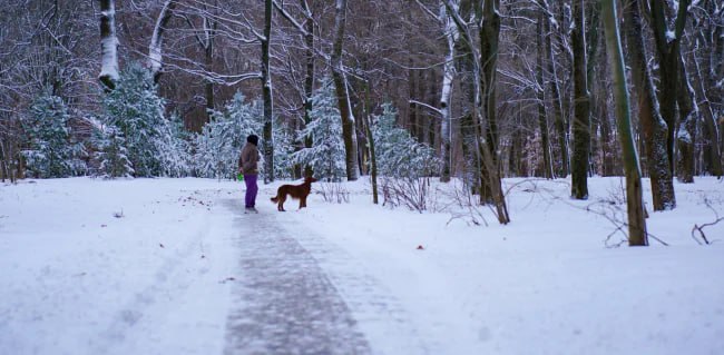 Как Тула встретит финал новогодних каникул — снег и январская стужа