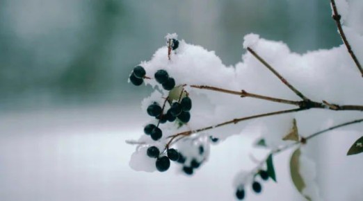 �������� ��������� �������� �� �������, 8 ������, ��������� ���� �� ������� � ��������