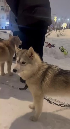 � �����, ���� �������������� ��� ������� �� ���������� � ������������� � ������������� ����������