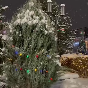 ��� ������ �� �����: ���������� ������ ������ ������