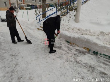 ������ ���� �������� ������ ��������������