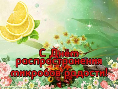 #КорочеПраздники на 8 января