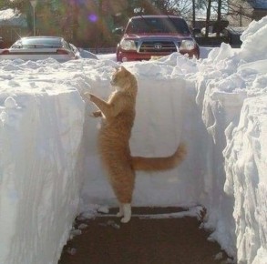 ������ �������� ������� � ��������� ������� �������� ����� 30 ��