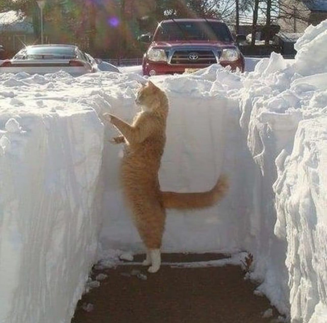 Высота снежного покрова в некоторых районах достигла свыше 30 см