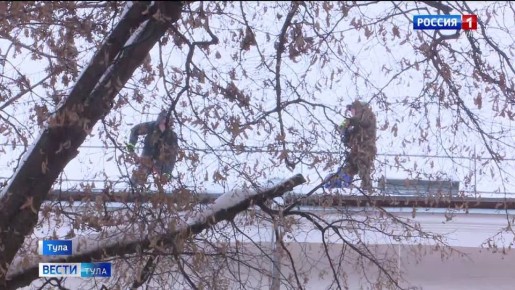 ���� ������� ������. ������� ������ �� ������! ������ �������� �� ������������ ��� ������ �����, � �� �������� ����������, ������� � �������� ��� ������� ����� 30 �� �������, ��� ������ �������� �������� �����