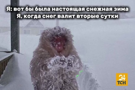 �� ��� �� ��?