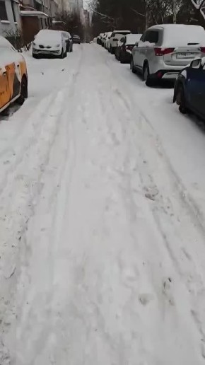 � ���� ������� ������������� ��������-�����������