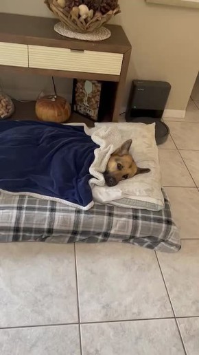 Ставь , если проводишь новогодние каникулы именно так