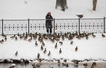 ������ �� 10 ������. ����� ��������: 08:45