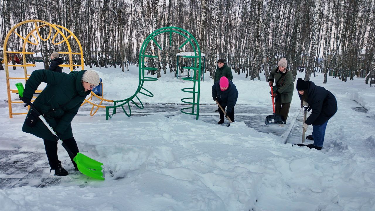 Против стихии вместе: в Тульской области проходит зимний субботник Против стихии вместе: в Тульской области проходит зимний субботник