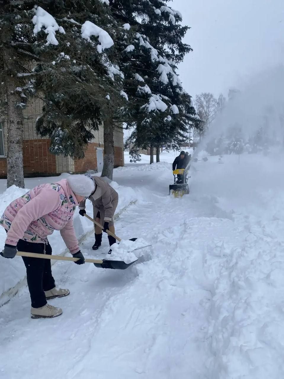 В Тульской области — массовый снежный субботник В Тульской области — массовый снежный субботник